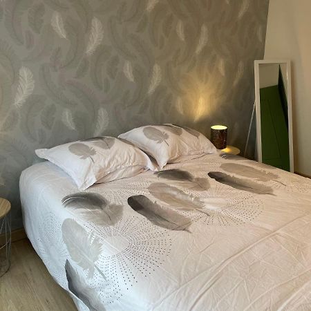 Appartement Du Grand Parc Châteauroux Esterno foto