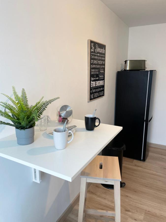 Appartement Du Grand Parc Châteauroux Esterno foto